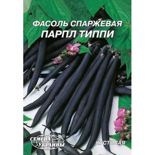 Гігант Квасоля рання спаржева кущова "Парпл Тіппі" 20г (Насіння України)