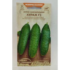 ВН Огірок самозапильний швидкостриг. "Кураж F1" 0,25г (Насіння України)
